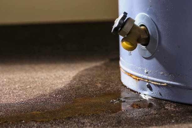 Best Basement water damage restoration  in Largo, MD