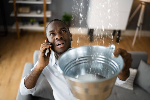 Best Mold removal after water damage  in Largo, MD