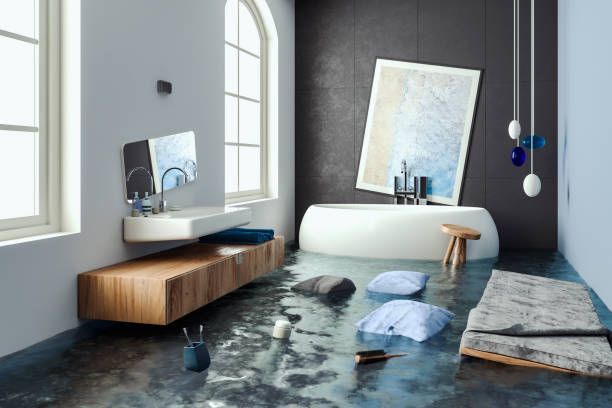 Best Professional water damage repair  in Largo, MD