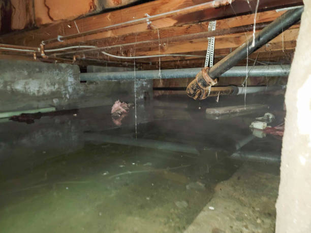 24/7 water damage repair in Largo, MD