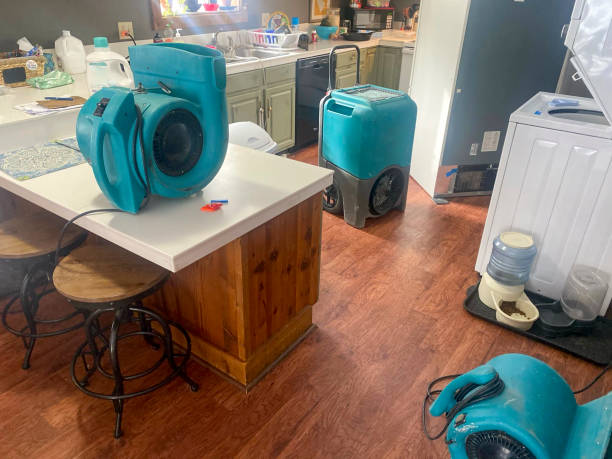 Best Residential water damage restoration  in Largo, MD