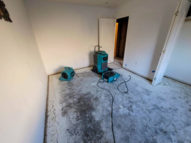 Best 24/7 water damage repair  in Largo, MD