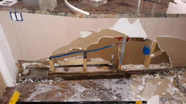 Best Water damage cleanup near me  in Largo, MD