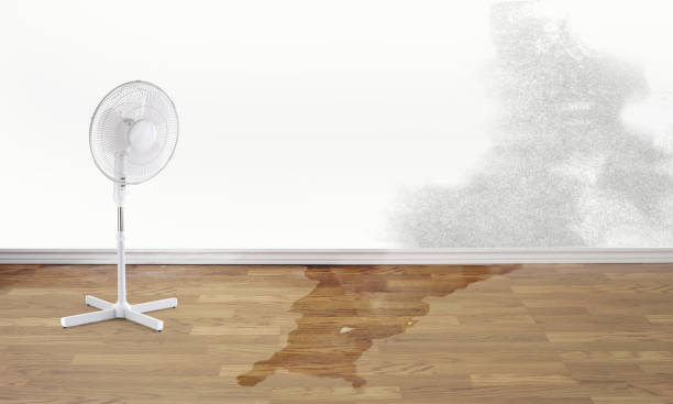 Fire Damage Restoration in Largo, MD