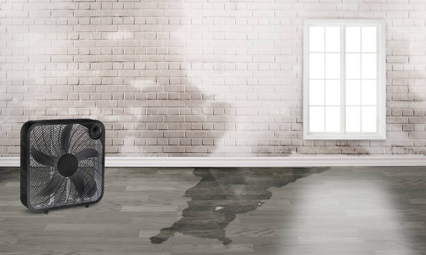 Professional Water damage restoration in Largo, MD