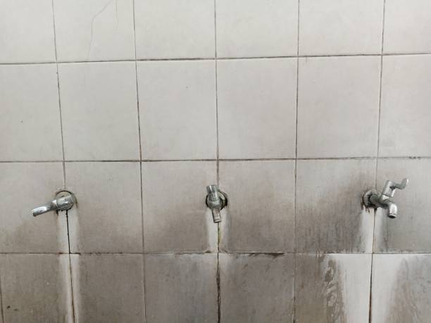Best Water damage restoration near me  in Largo, MD