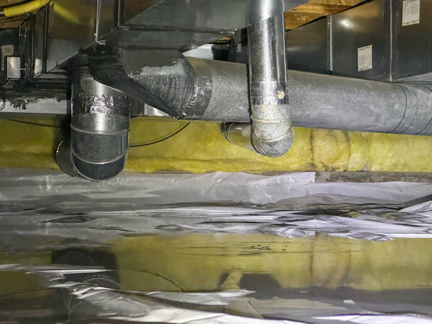 Best Water damage cleanup near me  in Largo, MD