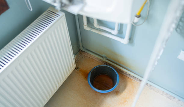 Best Ceiling water damage repair  in Largo, MD